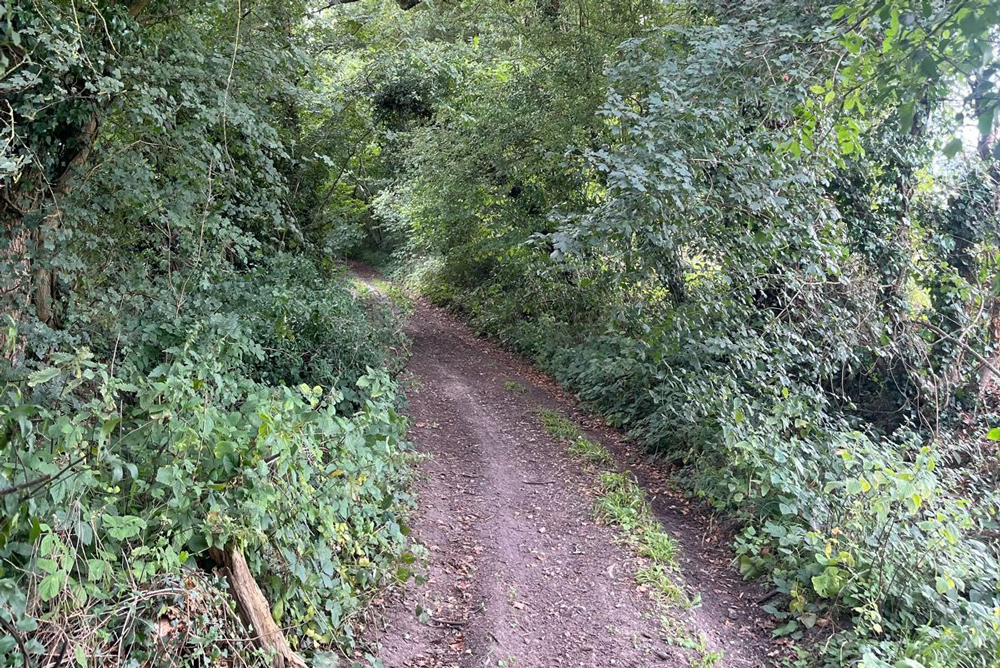 Bart Tandem England 6