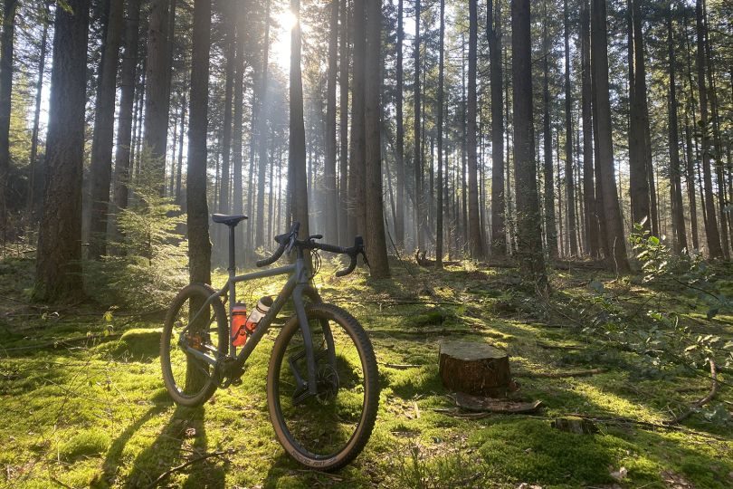 Santos Cross Lite Bos - Roel